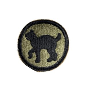 PATCH 81 DIVISION D'INFANTERIE